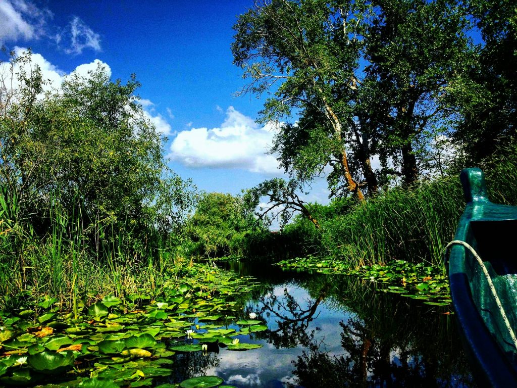 Pădurea Caraorman din Delta Dunării